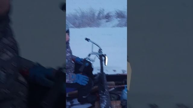 Катаемся на мотособаке. смотреть онлайн