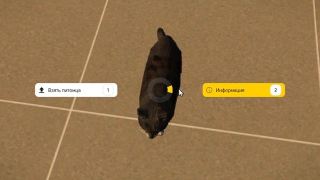 НОВЫЕ ПИТОМЦЫ — КОТЫ и КРЫСЫ на ARIZONA GTA 5 RP: ГДЕ ИСКАТЬ и КАК ПРИРУЧАТЬ на АРИЗОНА ГТА 5 РП смотреть онлайн
