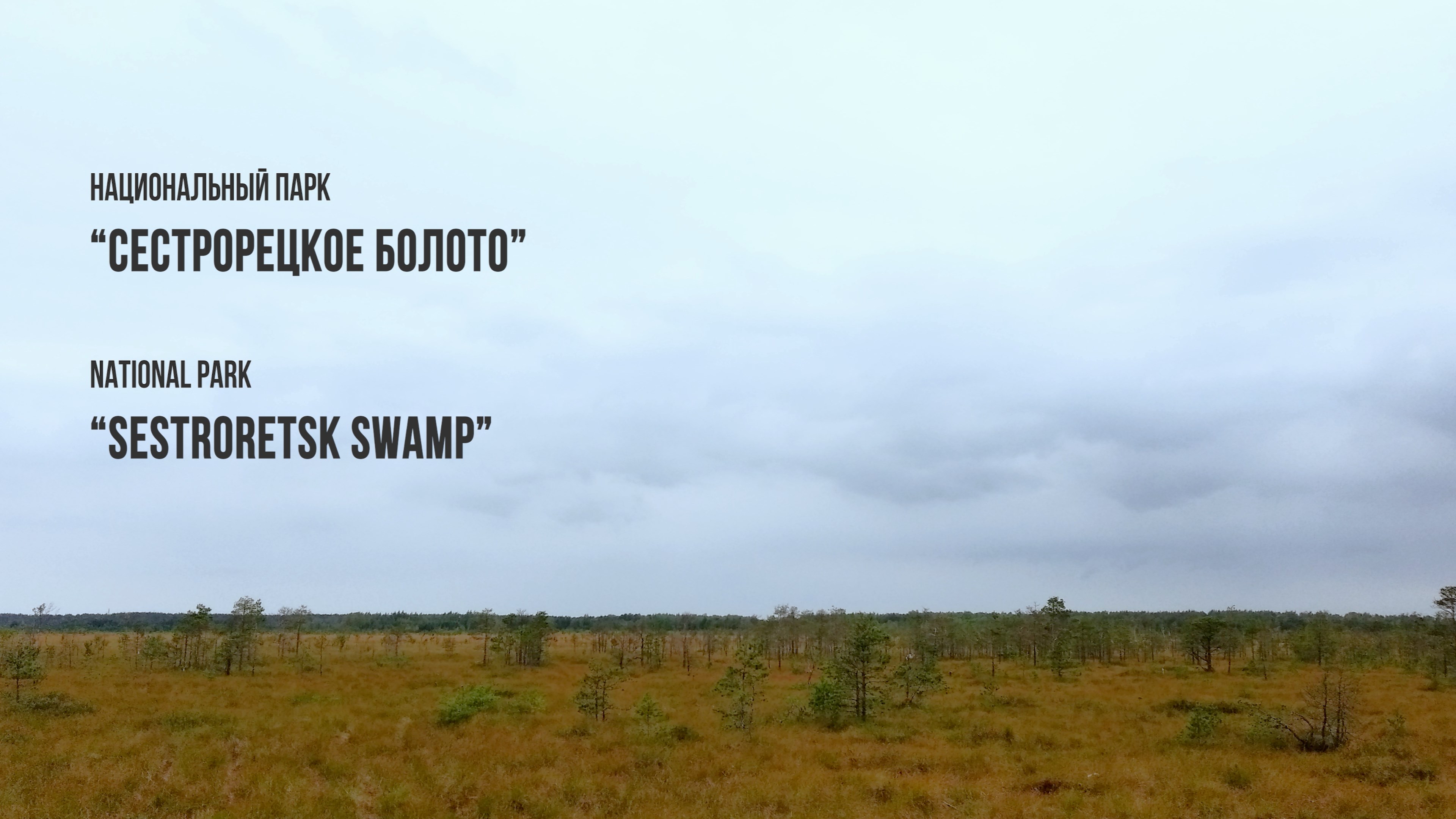 Поход выходного дня в окрестностях Питера. Эко-тропа Сестрорецкое болото (национальный парк).