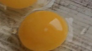 Как узнать оплод  яиц, от молодых самочек перепелов.