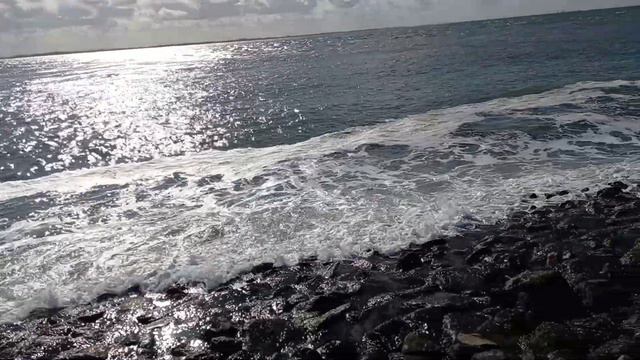 Северное Море Нидерланды смотреть онлайн