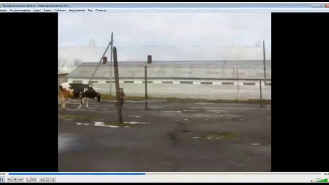 выводка животных ОАО ПП Вологодское 18/12/2020 смотреть онлайн