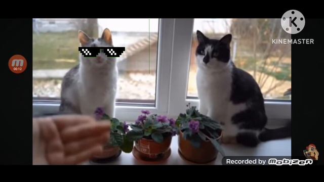 анонс а ну-ка-давай-ка смотреть онлайн