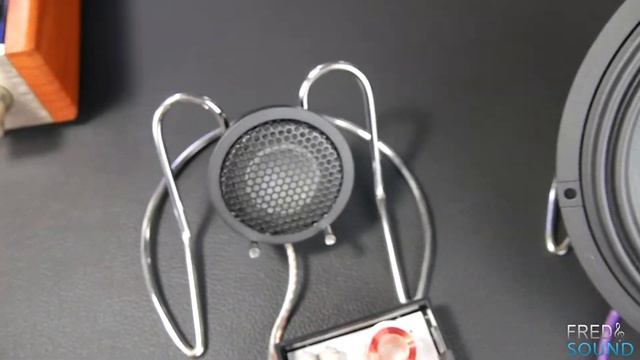 STEG SG650C Vs STEG K4.01 Sound Quality Test #FredNsound (INT)