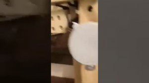 Автоматический лаз для курятника с таймером.