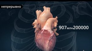 Механический клапан сердца и гидравлический пресс. Жизнь клапанщика