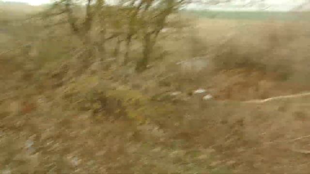 Охота на куропаток