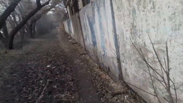Хоррор тротуар в Астане лесозавод смотреть онлайн