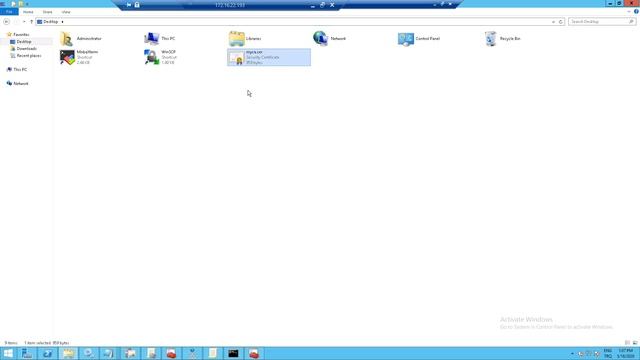 IBM Resilient SOAR Platform: Internal CA signed certificate configuration смотреть онлайн
