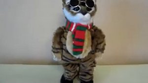 Танцующий кот Базилио  в очках