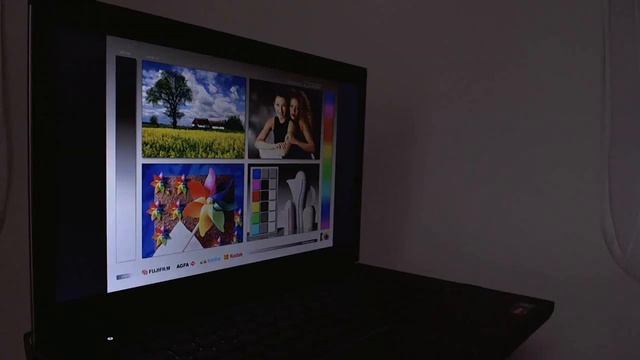 Viewing Angles Dell Vostro 3555 (15.6" WXGA non-glare) смотреть онлайн