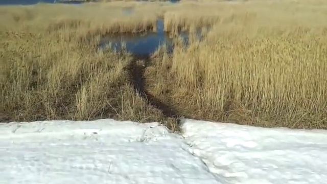 Озеро Аслыкуль , БАШКИРИЯ смотреть онлайн