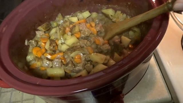 Weekly Vlog #2 || Beef Stew, a Library Book Sale, and some reading!! || Spenelli Speaks смотреть онлайн