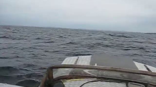 По волне 1 смотреть онлайн