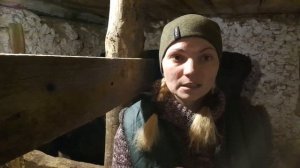 Выпойка телят ЗЦМ , что нужно знать , пропорции.