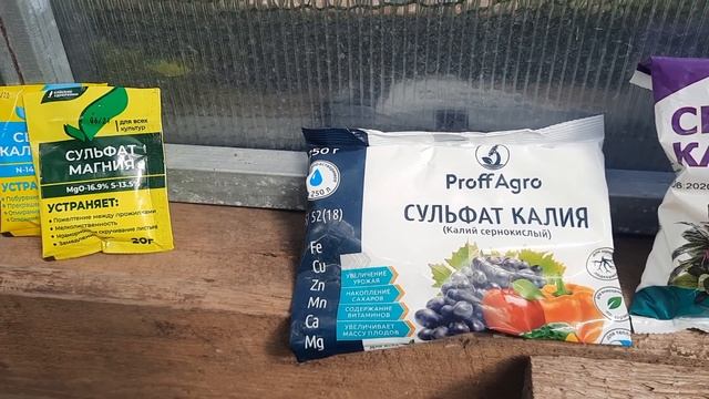 Моя теплица . Паутинный клещ одолел. Хлороз на огурцах. Перцы ломкие. Что делать? смотреть онлайн