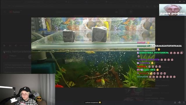 ДРЕЙК СМОТРИТ ФОТО НАТАЛЬИ В НЕОБЫЧНЫХ МЕСТАХ ПОДПИСЧИКОВ смотреть онлайн