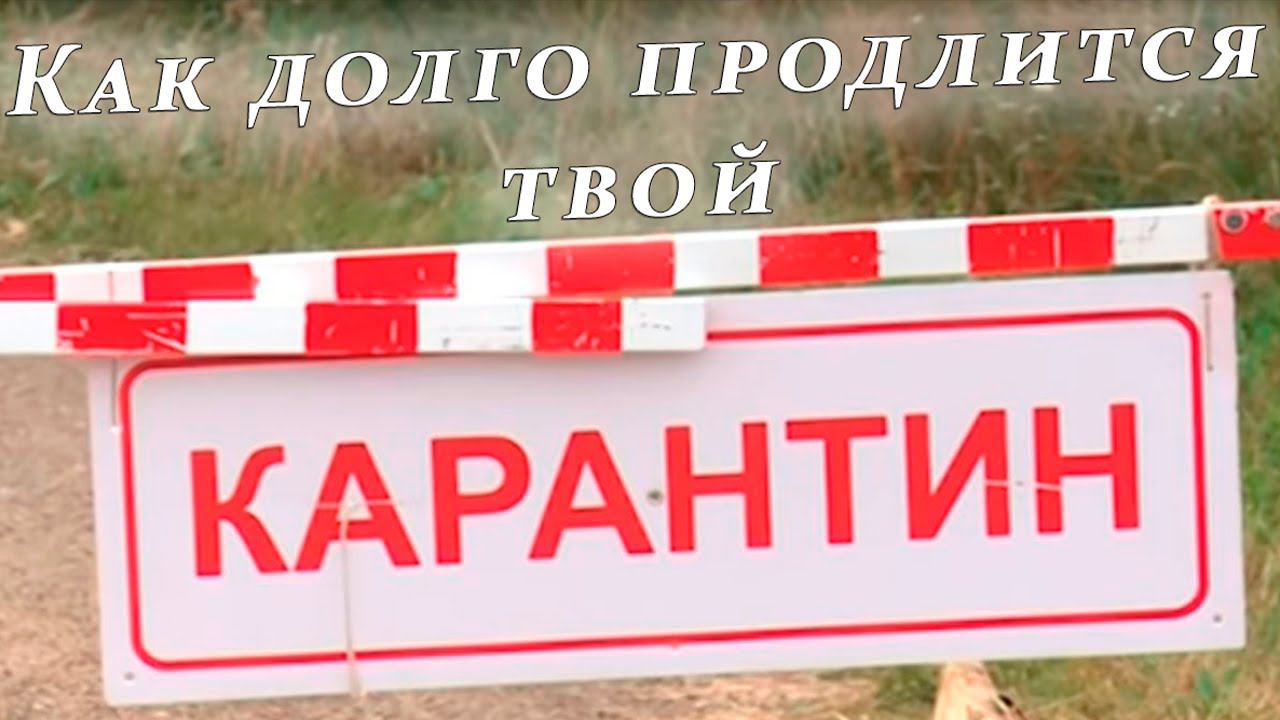 12 лет на карантине (Победа, победившая мир - вера наша). смотреть онлайн