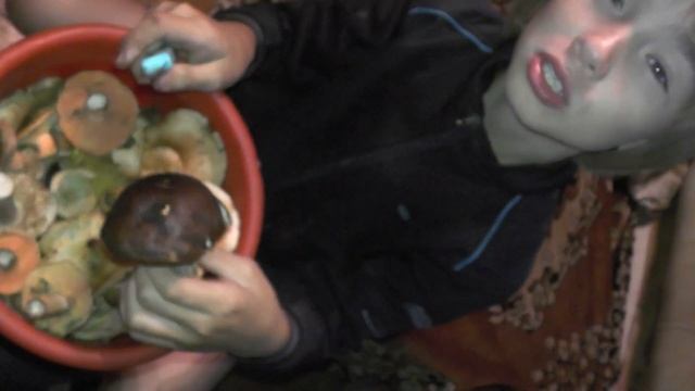 00000. Александр в первые в жизни сам чистит грибы. смотреть онлайн