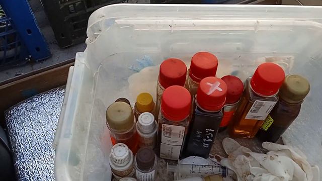 Перепутала препараты. Экспериментирую. смотреть онлайн