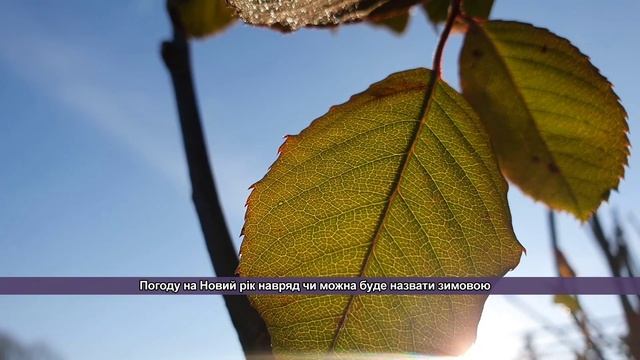 Погоду на Новий рік навряд чи можна буде назвати зимовою: Погода в Україні на вихідні смотреть онлайн