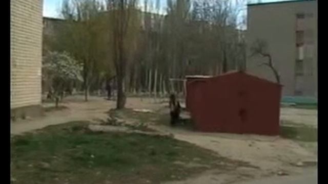 Челябинский паркур смотреть онлайн