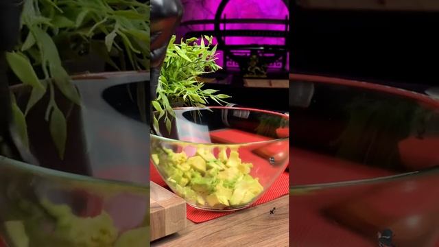 квакамоле дома #рецепты #еда #top смотреть онлайн