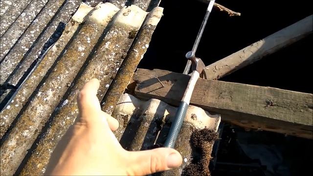 Строительные Перспективы