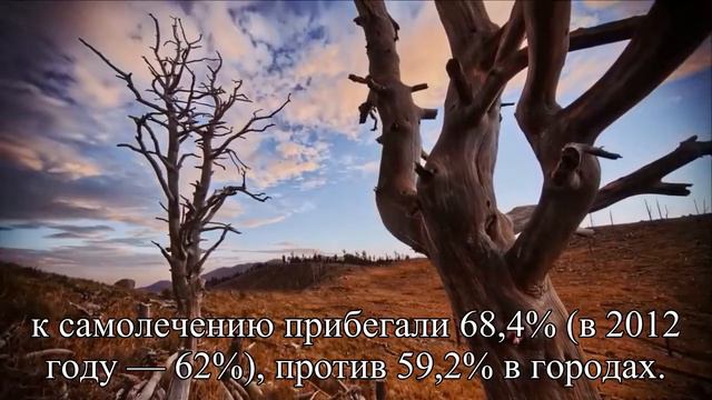 Больше половины жителей сел занимаются самолечением — Статья смотреть онлайн
