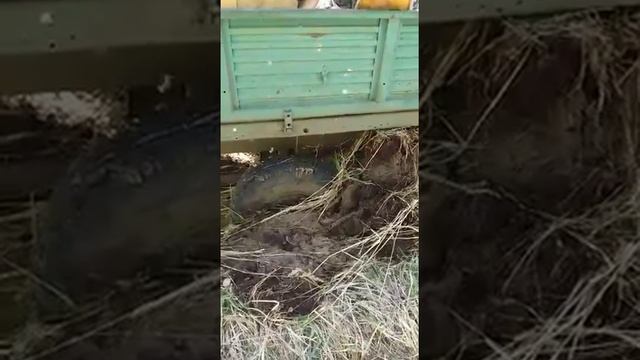 Лебедка спрут в деле смотреть онлайн