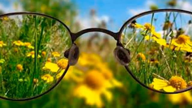 Миопия и дальнозоркость Применение виофтанов смотреть онлайн