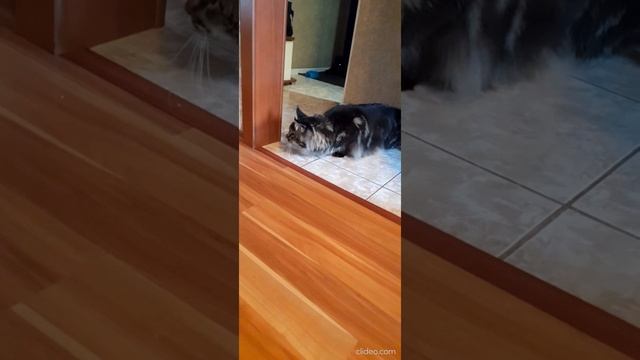 Я такого не ожидала от него... смотреть онлайн