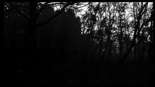 Deep in the Woods... She Hunts смотреть онлайн