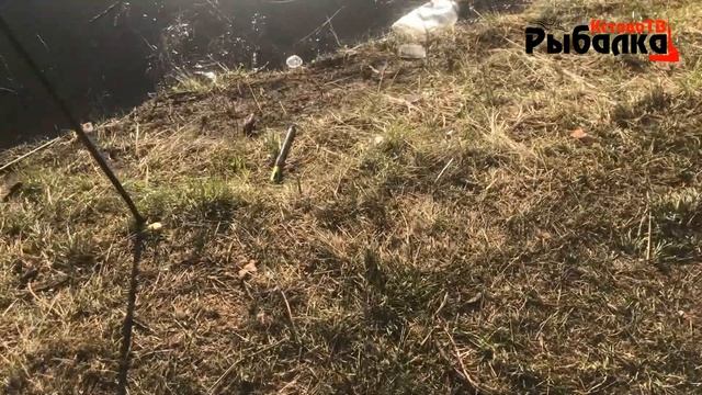 Одно место,а ловится НЕ у всех.Ловля на реке КУдьма на фидер и поплавок. смотреть онлайн