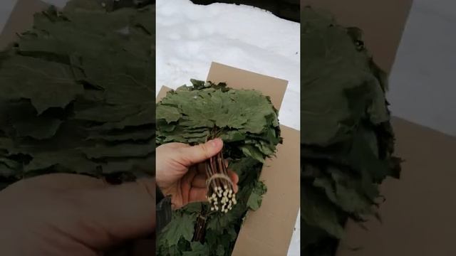 Обзор Кленового веника смотреть онлайн