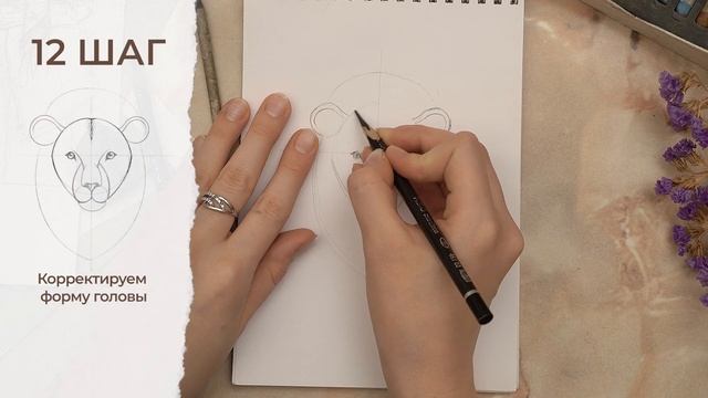 Как нарисовать льва поэтапно карандашом | Обучающие видео уроки по рисованию для начинающих. смотреть онлайн