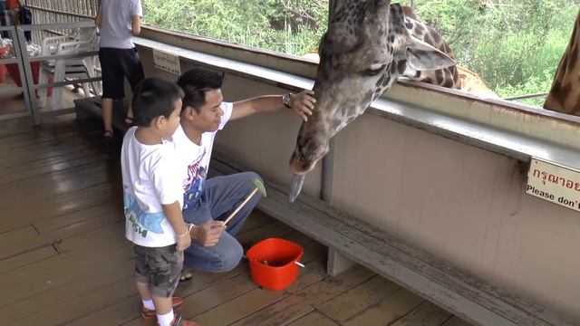 Зоопарк Дусит, Бангкок, Таиланд смотреть онлайн