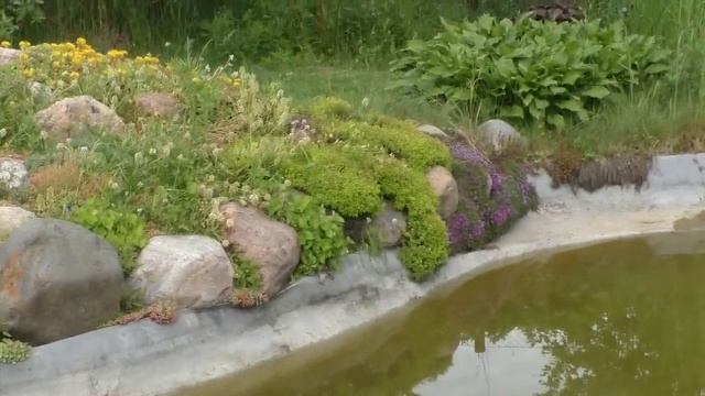 В гостях у тезки 4. Декоративный пруд и альпийская горка на даче. Садовые композиции на участке. смотреть онлайн