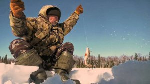 Горбатые трофеи Сыни. За окунем с хантами (весна) | С полем!