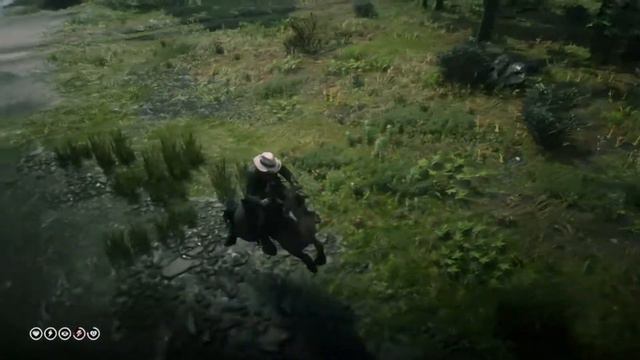 Tiger Striped Bay Mustang vs Cougar : Red Dead Redemption 2 смотреть онлайн