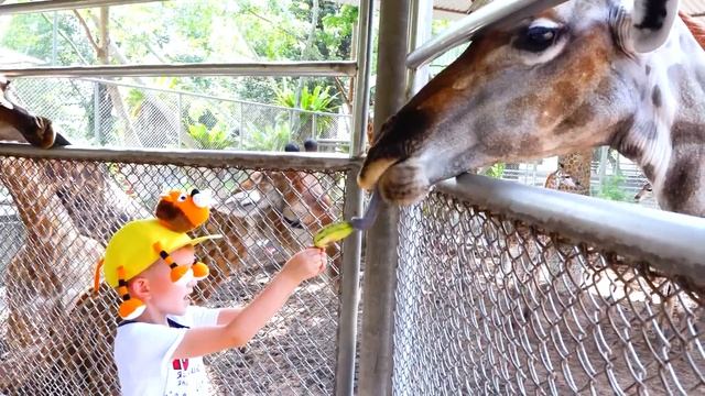 Vlad and Nikita Family trip to the Zoo смотреть онлайн