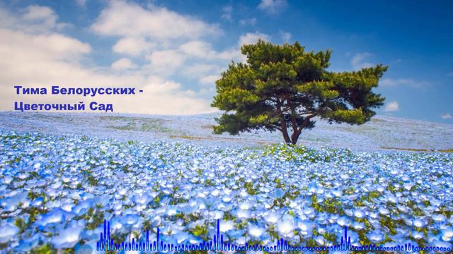 Тима Белорусских - Цветочный Сад смотреть онлайн