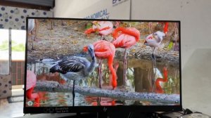 HP Z22W 22inch ips Screen /rotation 180 ?/ Stand rotating 180?/ Hydraulic stand /price 8977441997