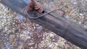 плотницкая телега для перевозки бревен , опыт предков ( медведки)