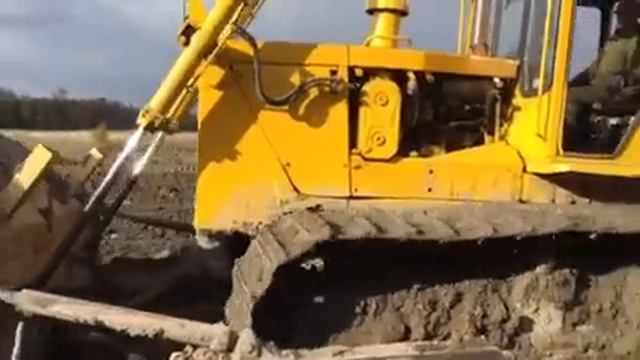 Бульдог 10МБ смотреть онлайн