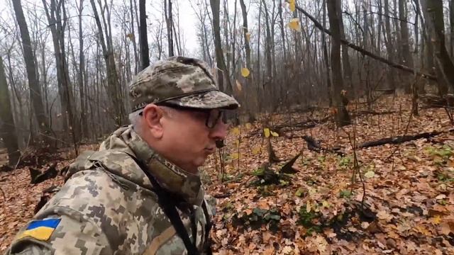 Опеньки в листопаді. Як я почав збирати гриби смотреть онлайн