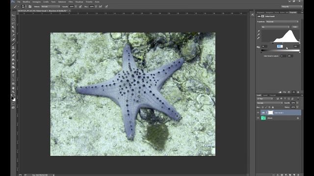 PHOTOSHOP - EASY TUTORIAL FOR UNDERWATER PHOTO CORRECTION смотреть онлайн