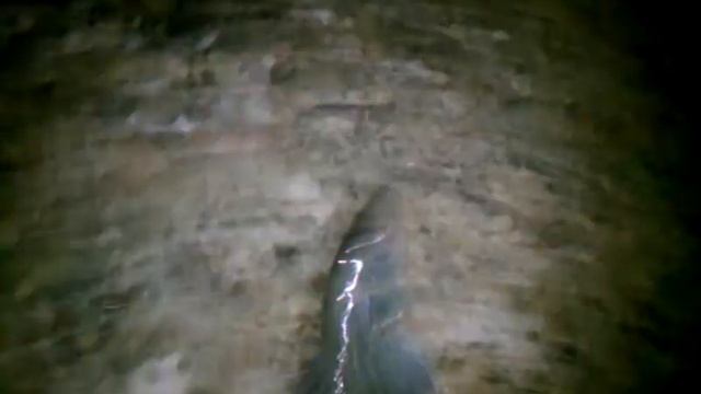 Striper Fishing With Pile Worms In Mendota