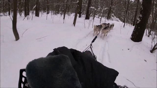 Нарты для собак. Нарта Шаман смотреть онлайн