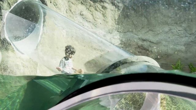 Florida Travel: Welcome to Zoo Miami & Florida: Mission Everglades смотреть онлайн